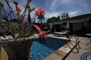 Apartment Jardines Del Mar 01 アパート